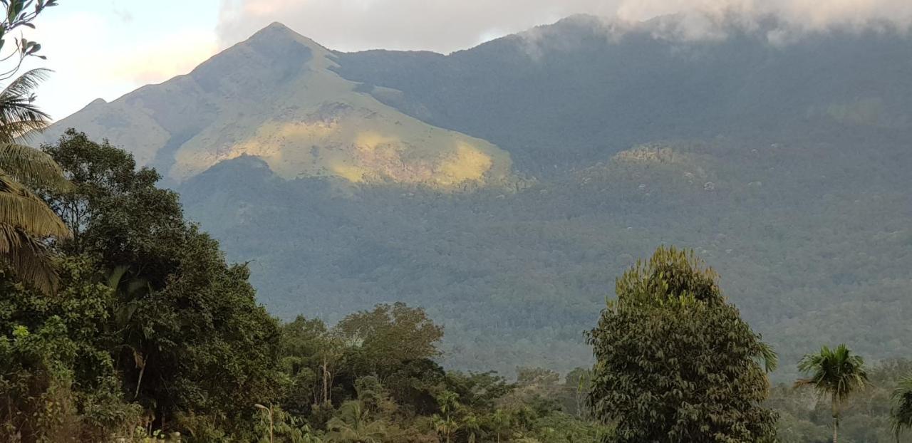Wayanad Doubletree Villa Vythiri Bagian luar foto