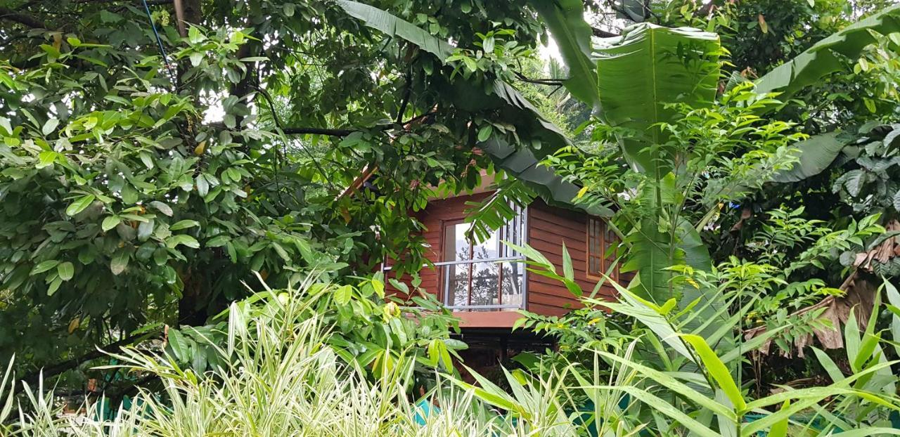 Wayanad Doubletree Villa Vythiri Bagian luar foto