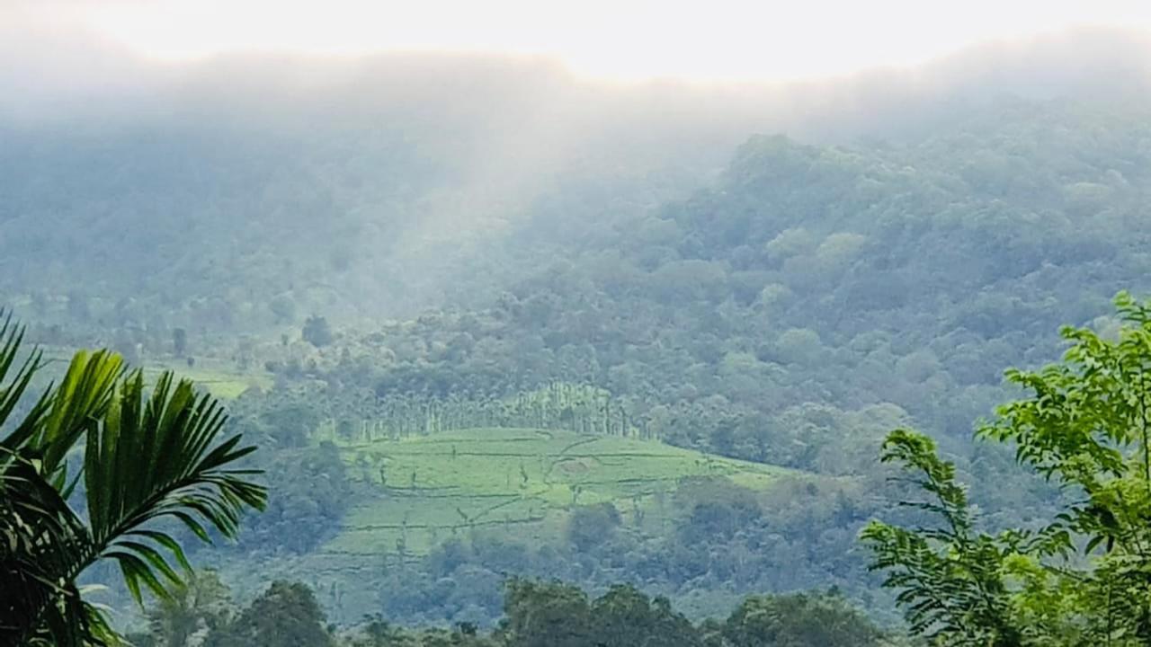 Wayanad Doubletree Villa Vythiri Bagian luar foto