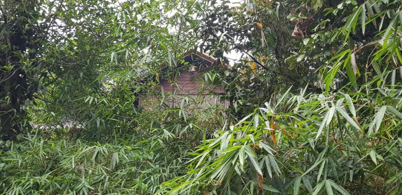 Wayanad Doubletree Villa Vythiri Bagian luar foto