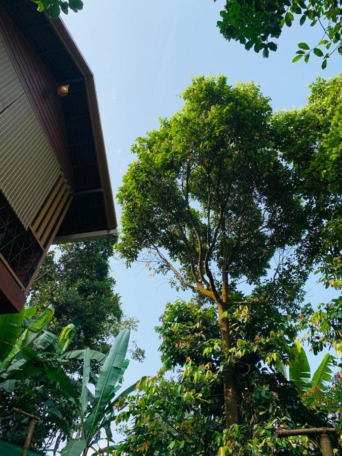Wayanad Doubletree Villa Vythiri Bagian luar foto