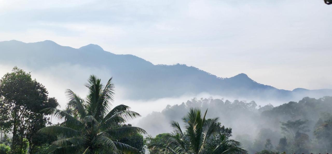 Wayanad Doubletree Villa Vythiri Bagian luar foto